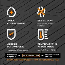 Коврики в салон REZKON 539030100
