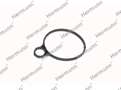 Прокладка HRLR039593 HERMANN