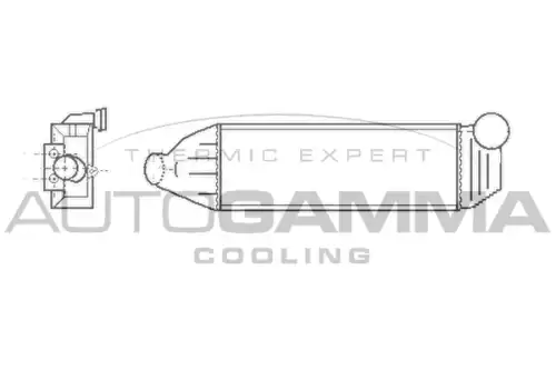 Интеркулер AUTOGAMMA 102402