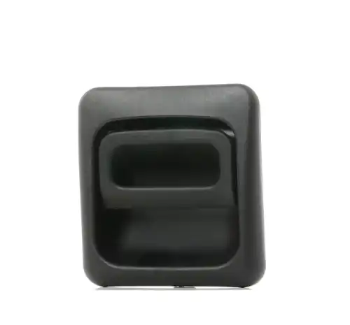 Ручка двери RIDEX 1373D0099
