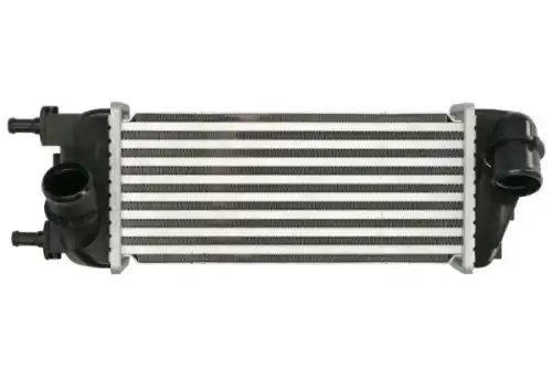 Интеркулер THERMOTEC DAF015TT