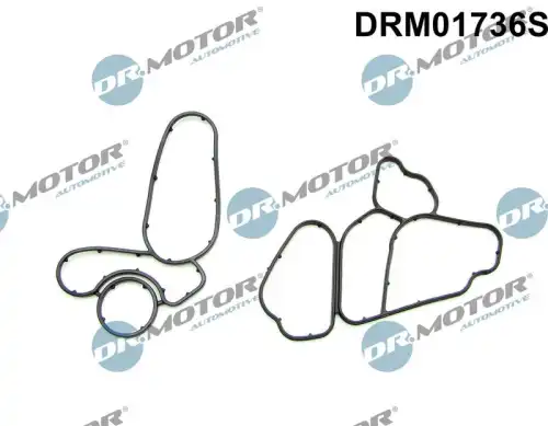 Комплект прокладок двигателя DR. MOTOR DRM01736S