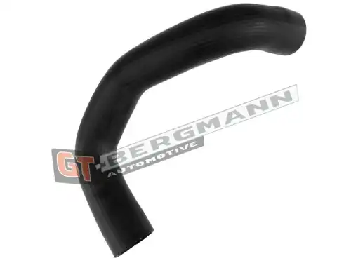 Деталь GT52554 GT-BERGMANN