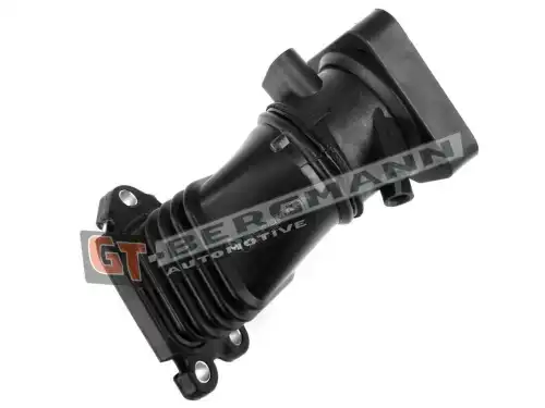 Деталь GT52429 GT-BERGMANN