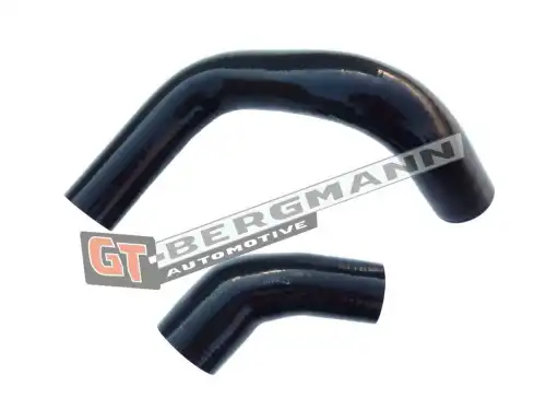 Деталь GT52164 GT-BERGMANN