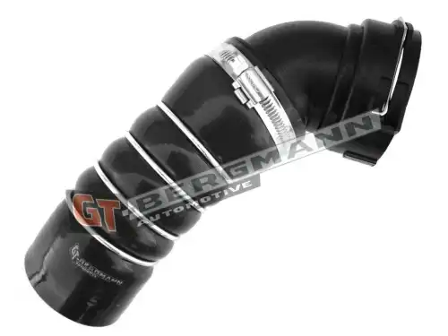Деталь GT52269 GT-BERGMANN