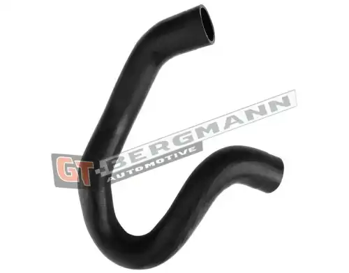 Деталь GT52453 GT-BERGMANN