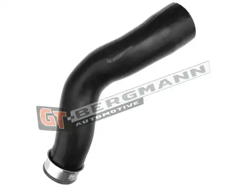 Деталь GT52463 GT-BERGMANN