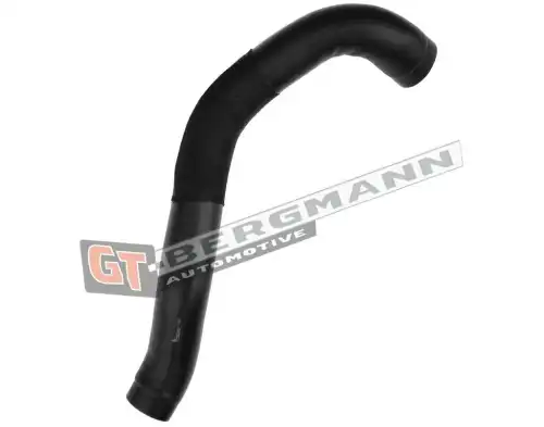 Деталь GT52502 GT-BERGMANN