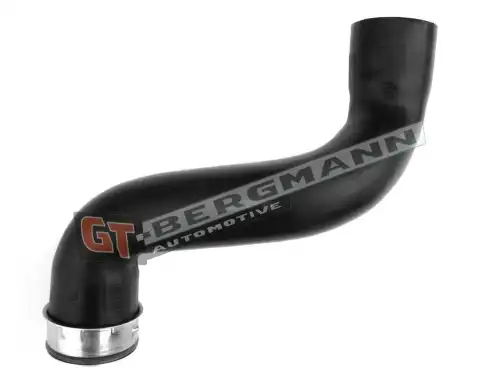 Деталь GT52487 GT-BERGMANN