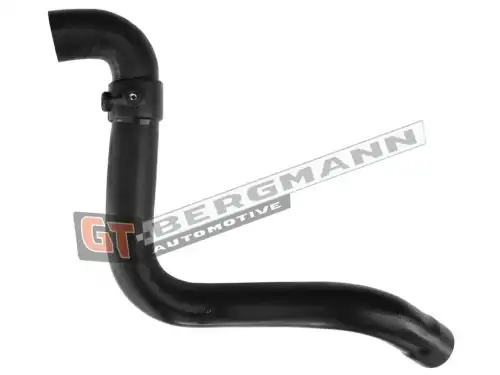 Деталь GT52433 GT-BERGMANN
