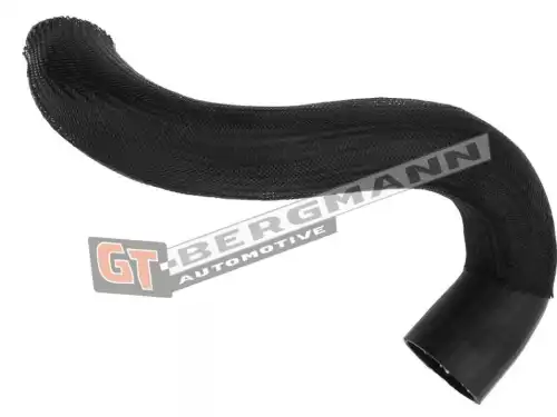 Деталь GT52451 GT-BERGMANN