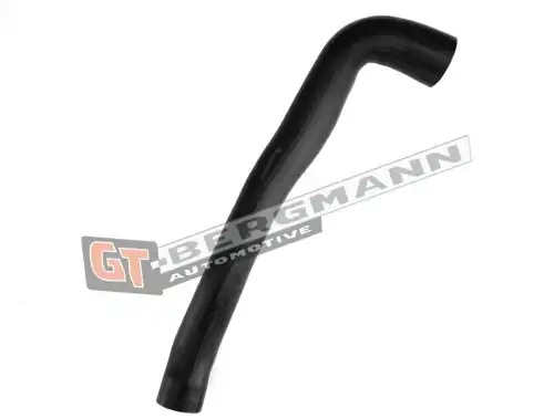 Деталь GT52438 GT-BERGMANN