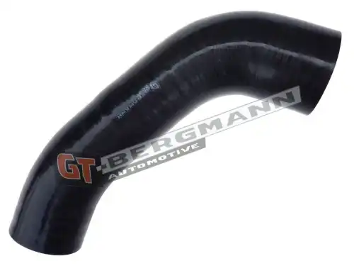 Деталь GT52445 GT-BERGMANN