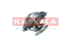 Термостат системы охлаждения KAMOKA 7710064