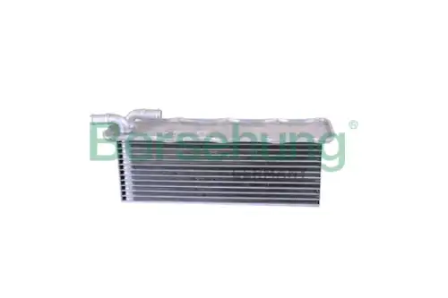 Интеркулер BORSEHUNG B10880