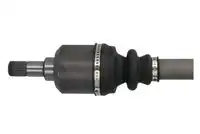 ШРУС наружный PASCAL G2P036PC