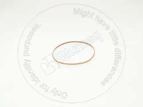 УПЛОТНЕНИЕ ГИЛЬЗЫ 1670024 OE BLUMAQ