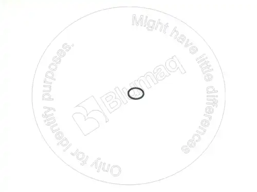 УПЛОТНИТЕЛЬНОЕ КОЛЬЦО 1125282 BQ BLUMAQ