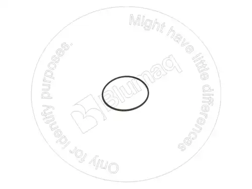 УПЛОТНИТЕЛЬНОЕ КОЛЬЦО 1H6227 BQ BLUMAQ