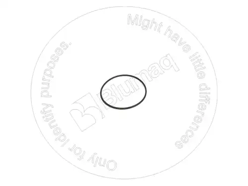 УПЛОТНИТЕЛЬНОЕ КОЛЬЦО 8T4404 BQ BLUMAQ