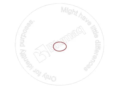 УПЛОТНИТЕЛЬНОЕ КОЛЬЦО 3107255 OE BLUMAQ