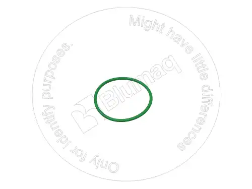 УПЛОТНИТЕЛЬНОЕ КОЛЬЦО 3107257 OE BLUMAQ