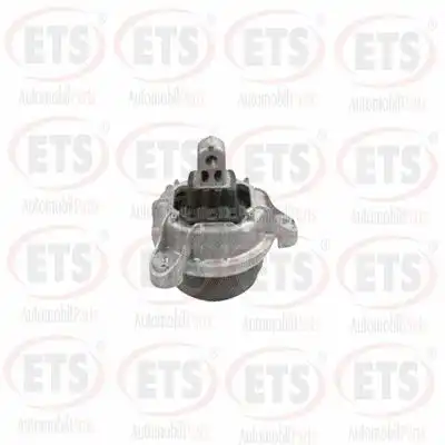 Подушка крепления двигателя ETS 03.EM.253