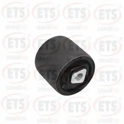 Рычаг подвески ETS 03.SB.607