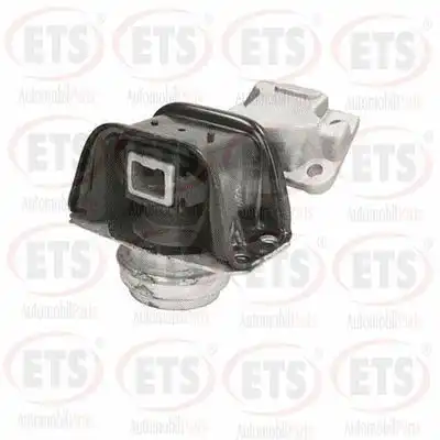 Подушка крепления двигателя ETS 04.EM.755