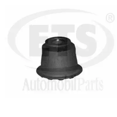 Рычаг подвески ETS 06.SB.527