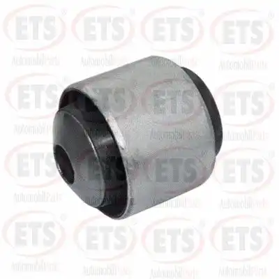 Рычаг подвески ETS 03.SB.610