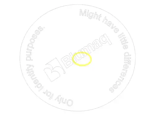 УПЛОТНИТЕЛЬНОЕ КОЛЬЦО 8T7318 BQ BLUMAQ