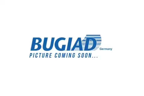 Кулак поворотный BUGIAD BSP25590