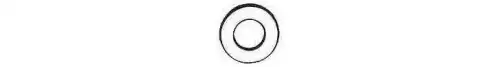 SPRING THRUST WASHER 726201 ERREVI