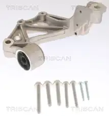 Шарнирный кронштейн, балка моста 8500 295261 TRISCAN