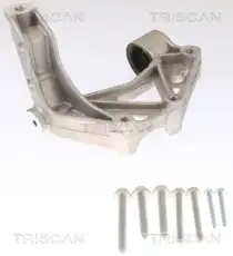 Шарнирный кронштейн, балка моста 8500 295261 TRISCAN