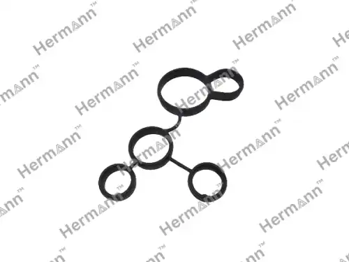 HR07K115441 Прокладка HERMANN