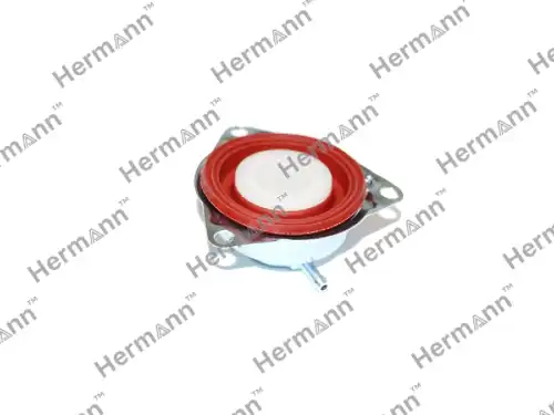 Клапан HR8602627KIT HERMANN