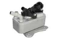 Масляный радиатор THERMOTEC D4B033TT