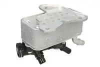 Масляный радиатор THERMOTEC D4B033TT