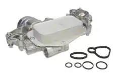 Масляный радиатор THERMOTEC D4X021TT