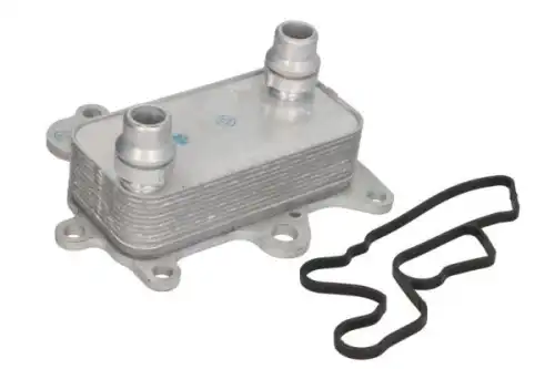 Масляный радиатор THERMOTEC D4F009TT