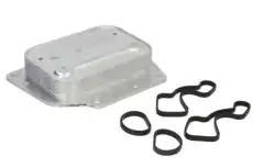 Масляный радиатор THERMOTEC D4F010TT