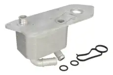 Масляный радиатор THERMOTEC D4G021TT