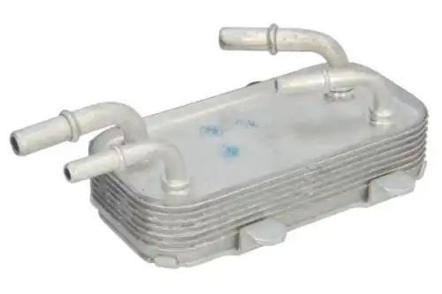 Масляный радиатор THERMOTEC D4I013TT