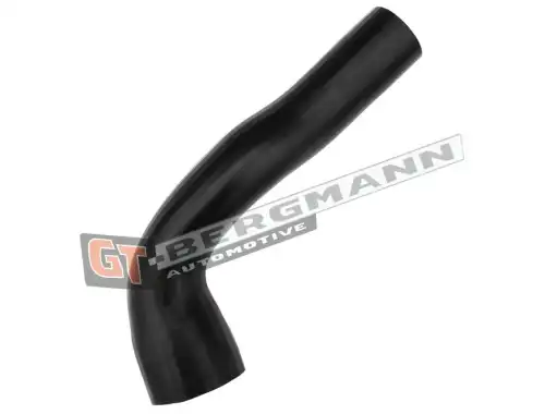 Деталь GT52499 GT-BERGMANN