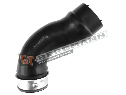 Деталь GT52491 GT-BERGMANN