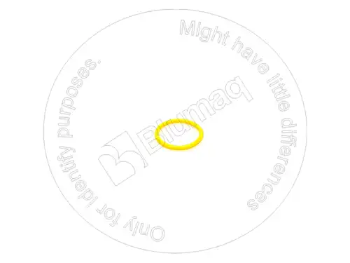 УПЛОТНИТЕЛЬНОЕ КОЛЬЦО 6L1648 BQ BLUMAQ