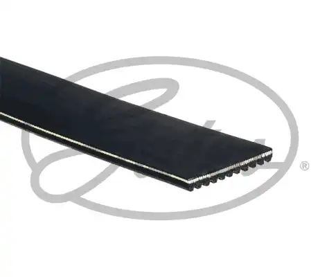 GATES 11PK1545HD